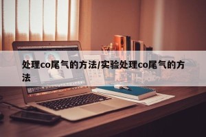 处理co尾气的方法/实验处理co尾气的方法