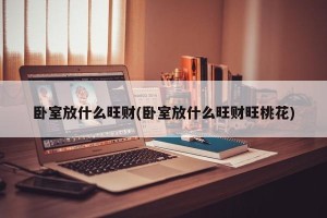 卧室放什么旺财(卧室放什么旺财旺桃花)