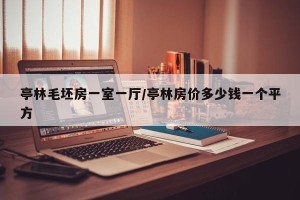 亭林毛坯房一室一厅/亭林房价多少钱一个平方